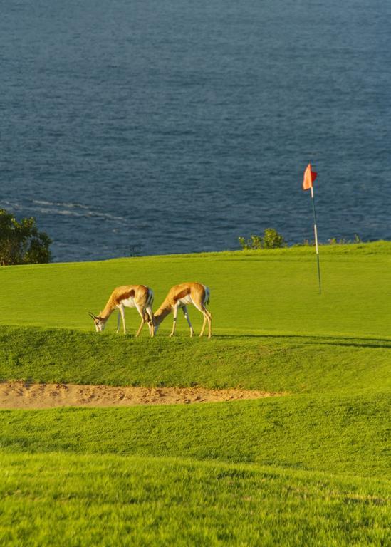 Golf Bed & Breakfast 4*